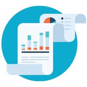 Insights and Reports